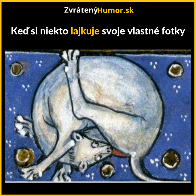 Špiny
