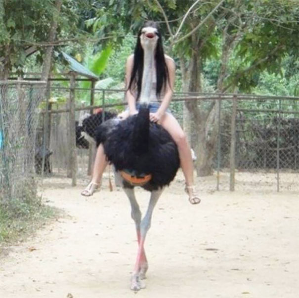 perfectly-timed-photos-taken-right-moment-80-5a264695d380c__605