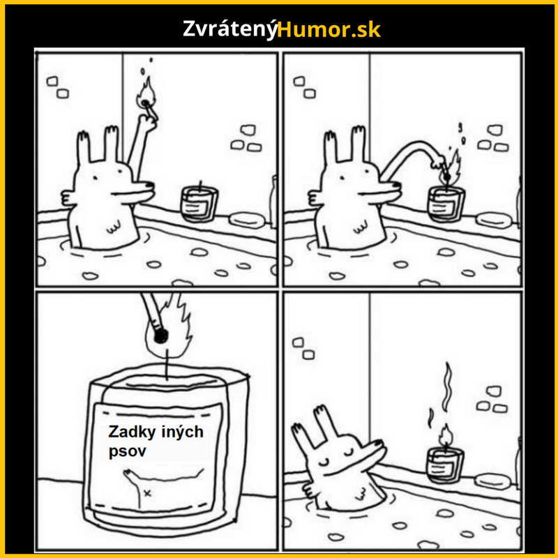 Odporúča 10 z 10 psov