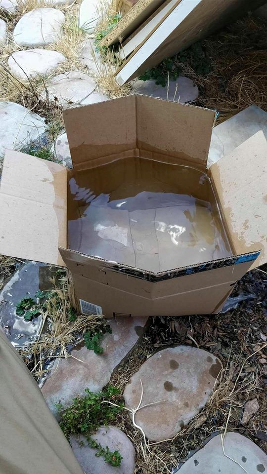 who-the-fuck-orders-water-from-amazon