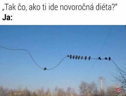 26231026_1408252245952376_4804081928866323028_n