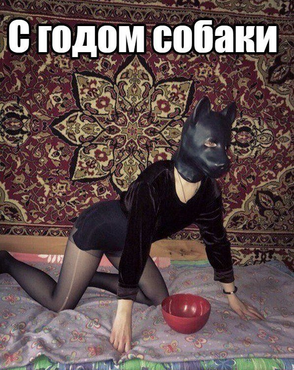 7dc25fde13e3d8bbb75974ea3ca297a1