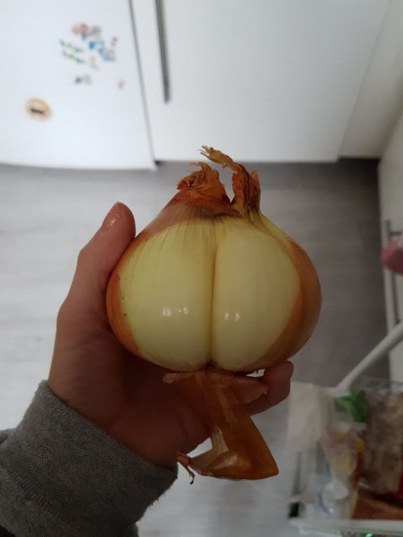 85562091