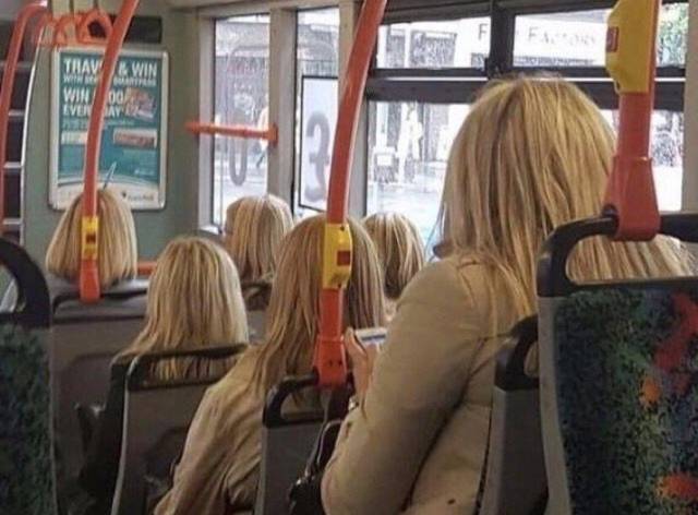 85565508