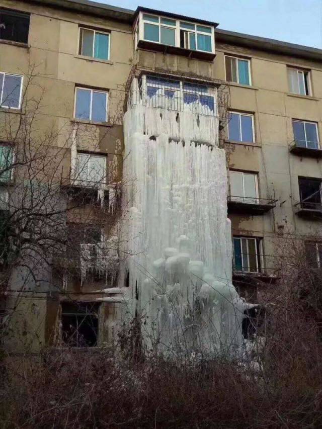 85565526