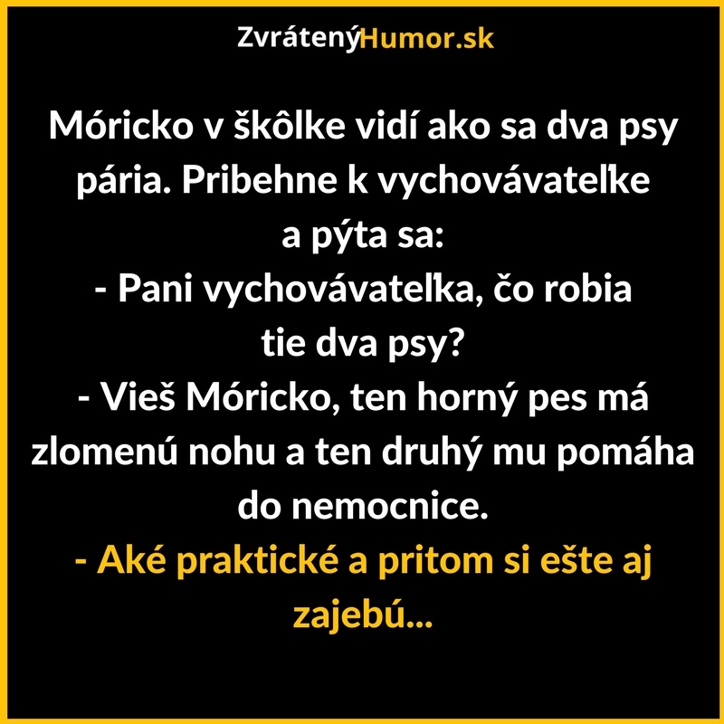 Móricko a dva psíky
