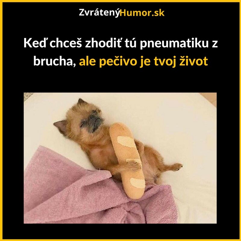 Cica, nežer!