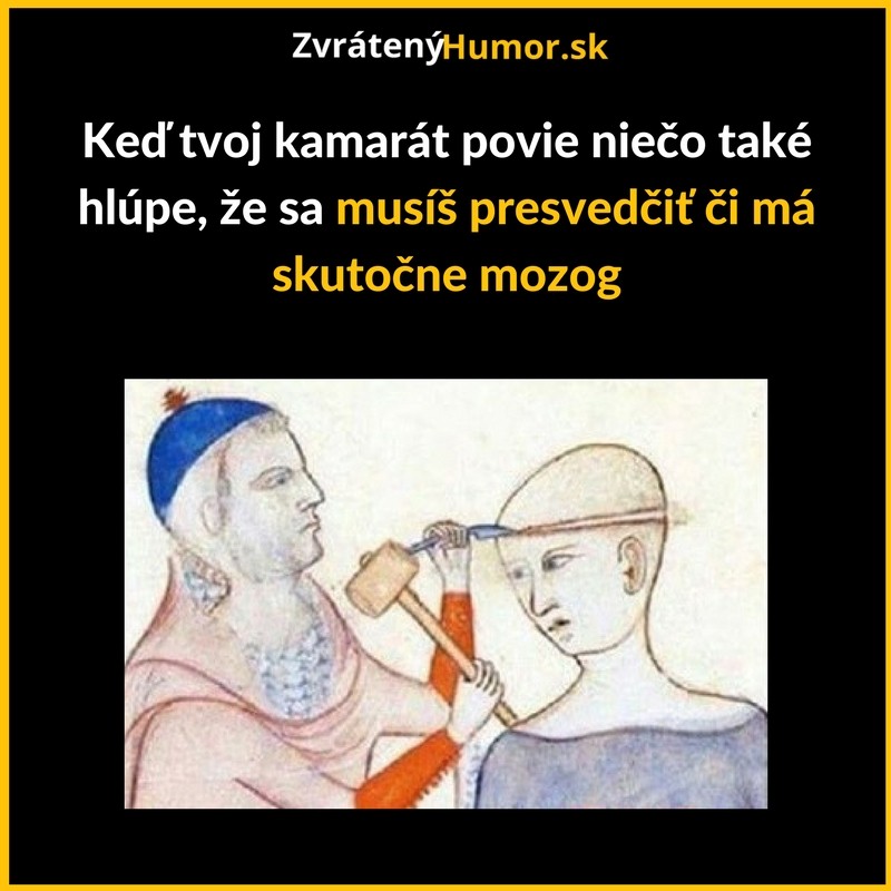 Máš ty vôbec rozum?