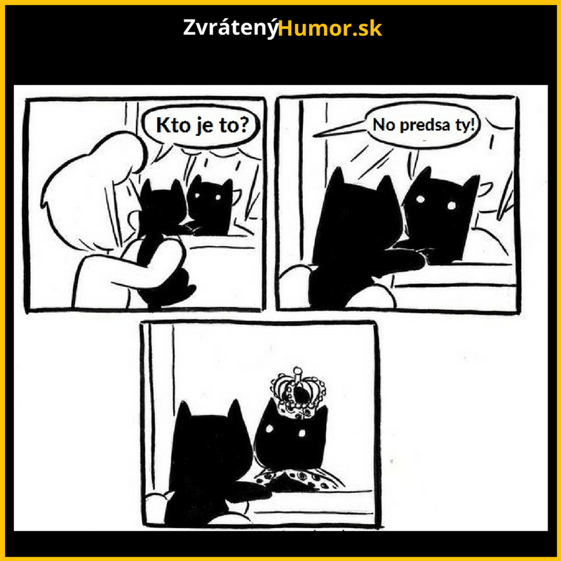Takto sa vidia mačky