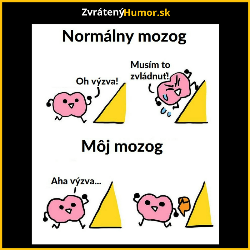 Môj mozog v skratke