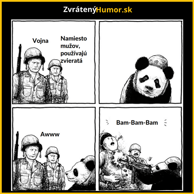 Nie je vojak ako vojak