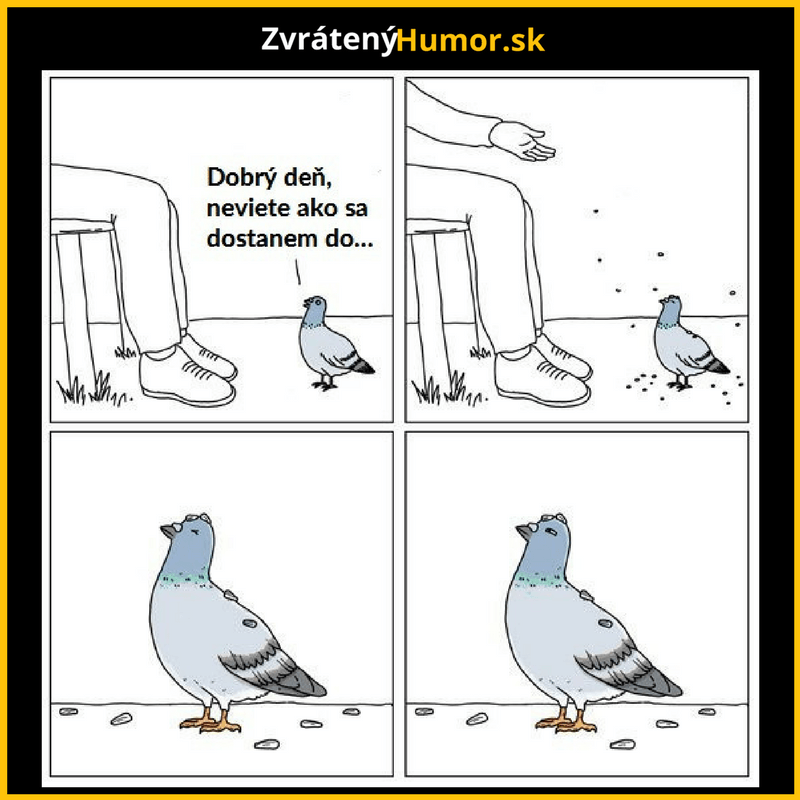 Holuby to majú ťažké