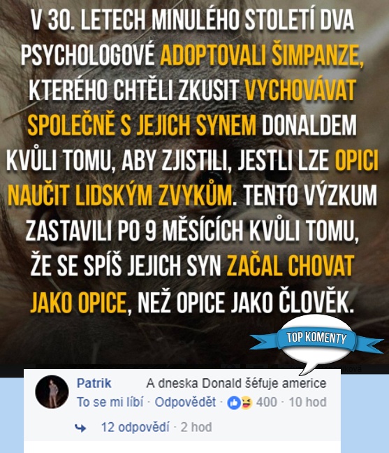 koment2908