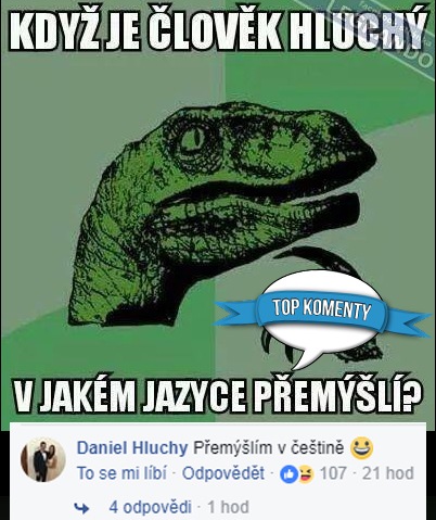 koment2917