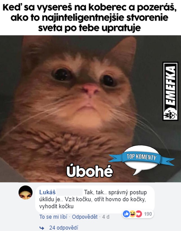 koment2984