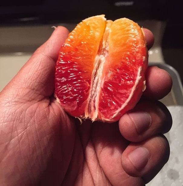 oddly-satisfying-photos-food-perfection-symmetry-14-5a4f4ca527f3f__605
