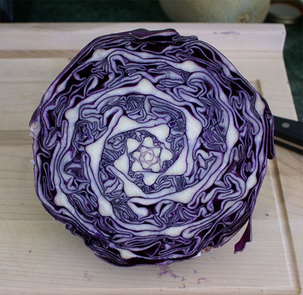 oddly-satisfying-photos-food-perfection-symmetry-9-5a4cd7fbc3e21__605