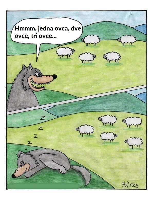 Pozor na ovce