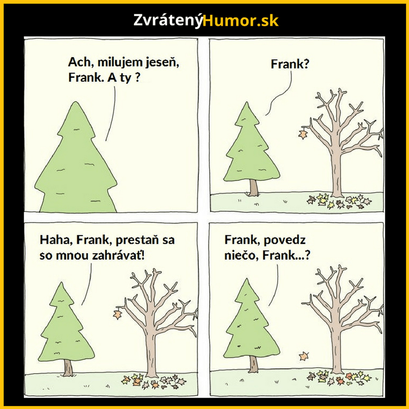 quava (5)