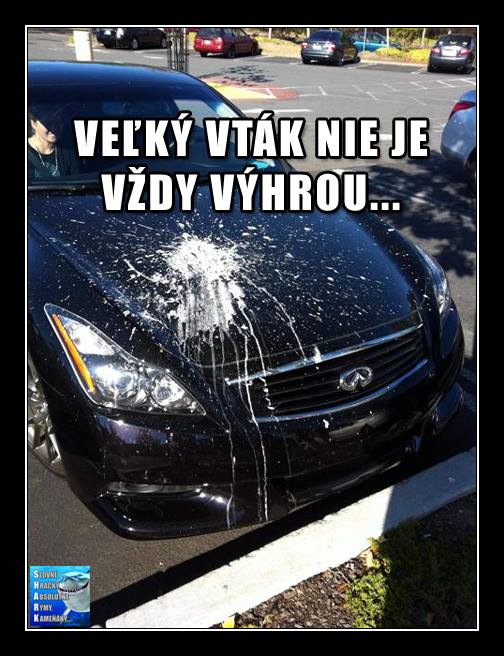 26111912_907804239369065_7436584671545192783_n