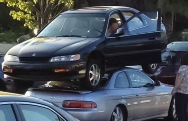 85581186