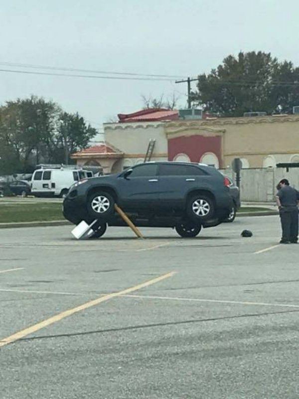 85581188