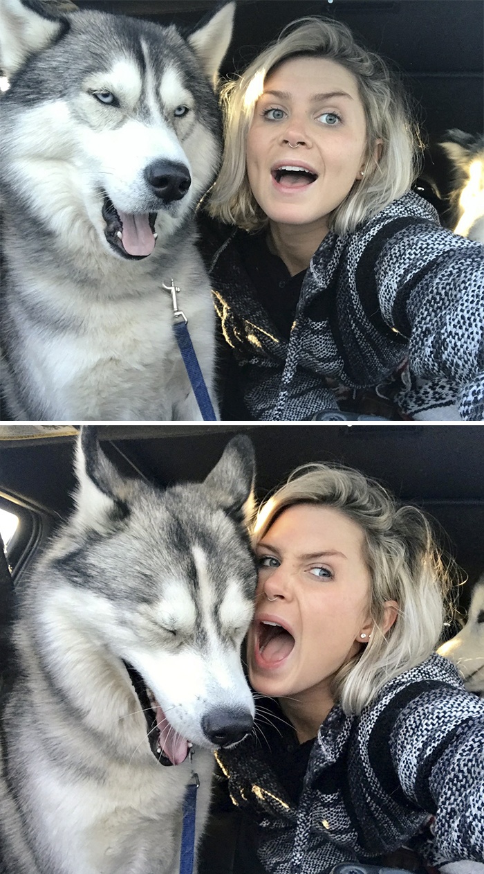 animals-people-same-faces-photos-liam-rice-53-5a94081aa10bf__700