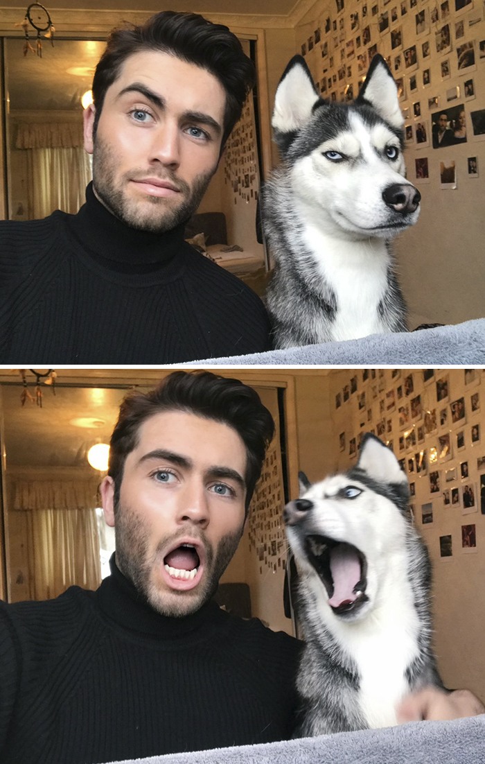 animals-people-same-faces-photos-liam-rice-66