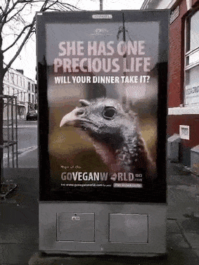 hilarious-crappy-design-fails-9-5a4610d0c06dc__700