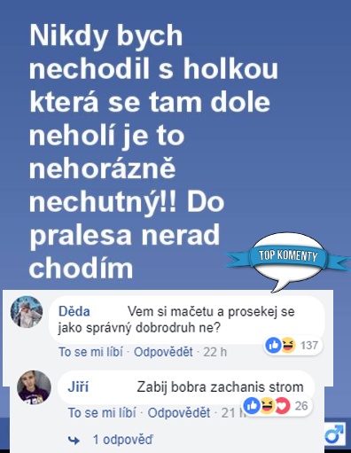 koment3029