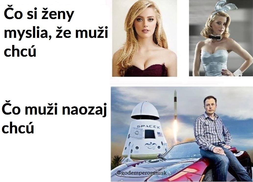 wazii (1)