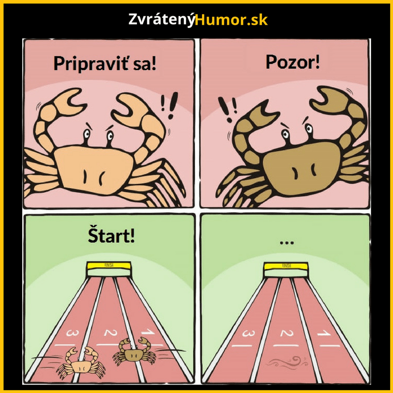 Zaujímavé preteky