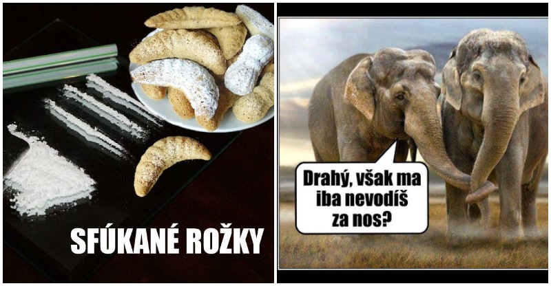 za nos nahlad