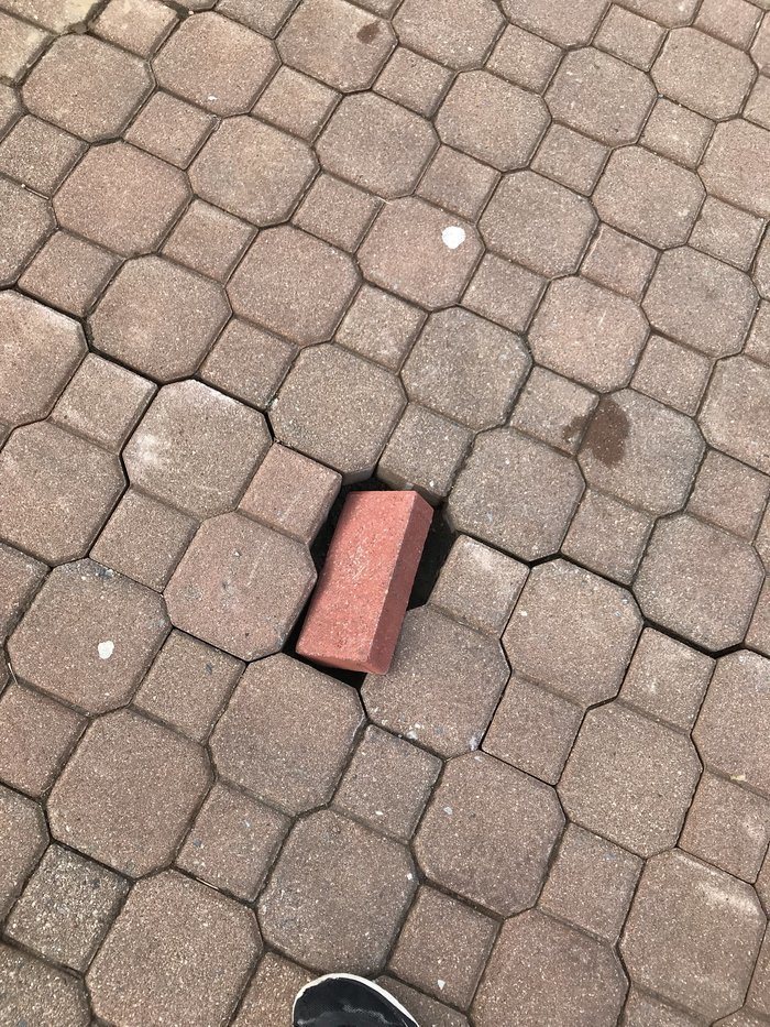 1517541249184393129