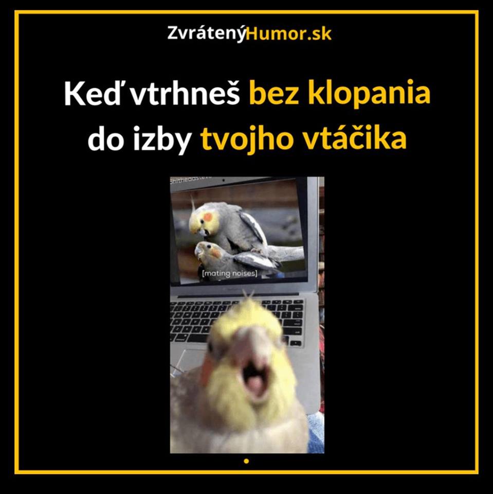 28660754_2116258591932316_1438565141227865763_n