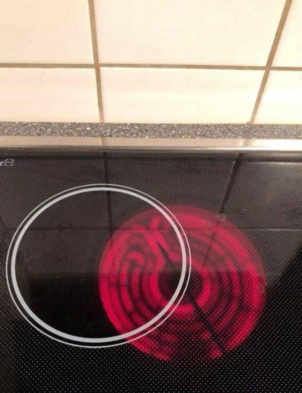 85597204