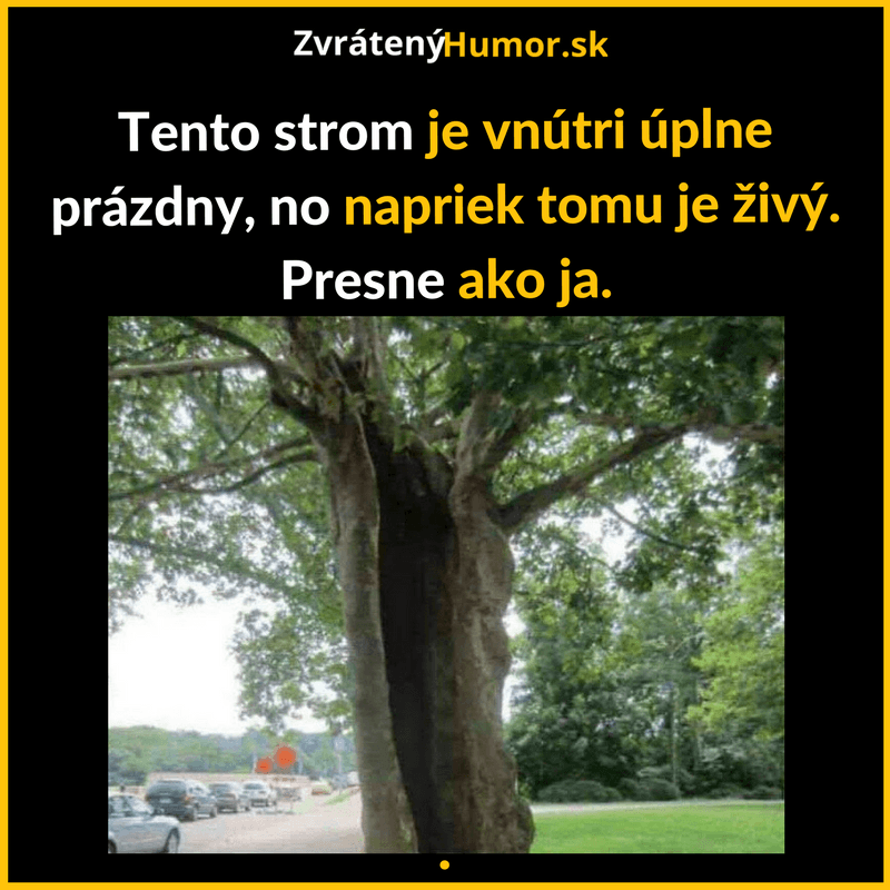 Copy of Nabor opravene