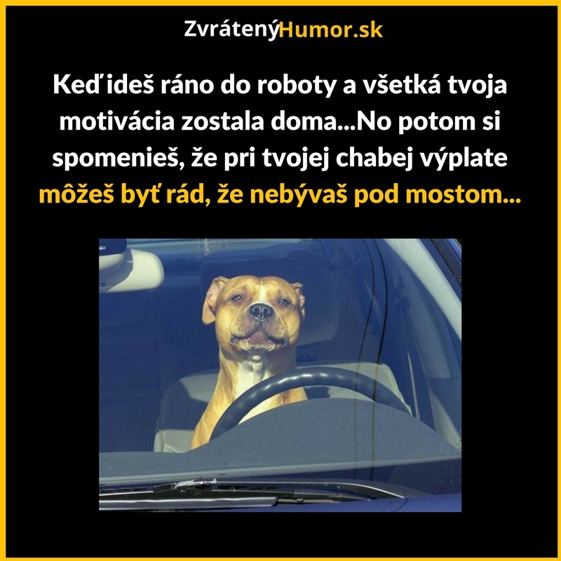Motivácia je základ