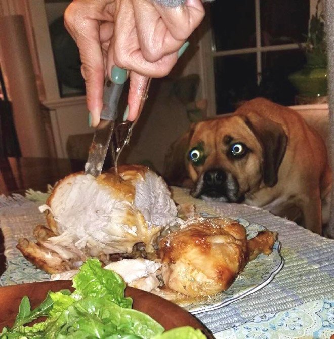 delicious1
