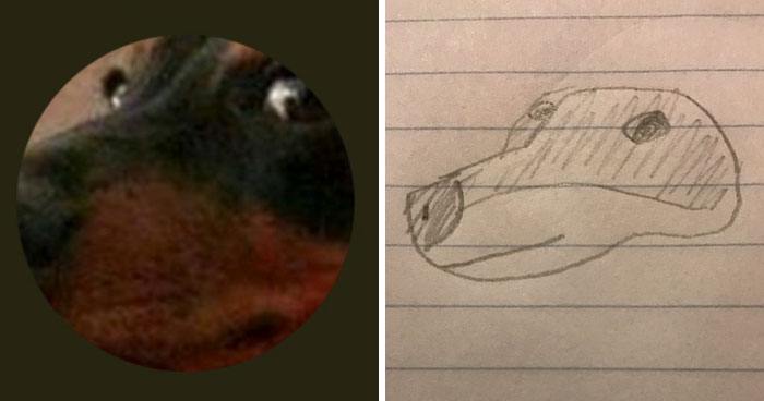 funny-drawings-portraits-slow-down-ralf-18-5ab3b3b2a2a36__700