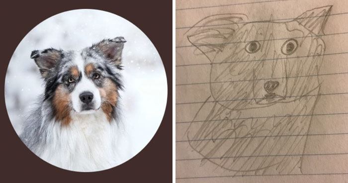 funny-drawings-portraits-slow-down-ralf-2-5ab3b3961e929__700