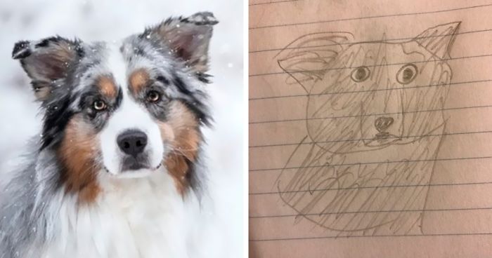 funny-drawings-portraits-slow-down-ralf-fb2__700-png