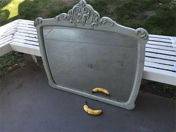 funny-people-sell-mirrors-reflections-78-5ab4e2a3a11c8__605