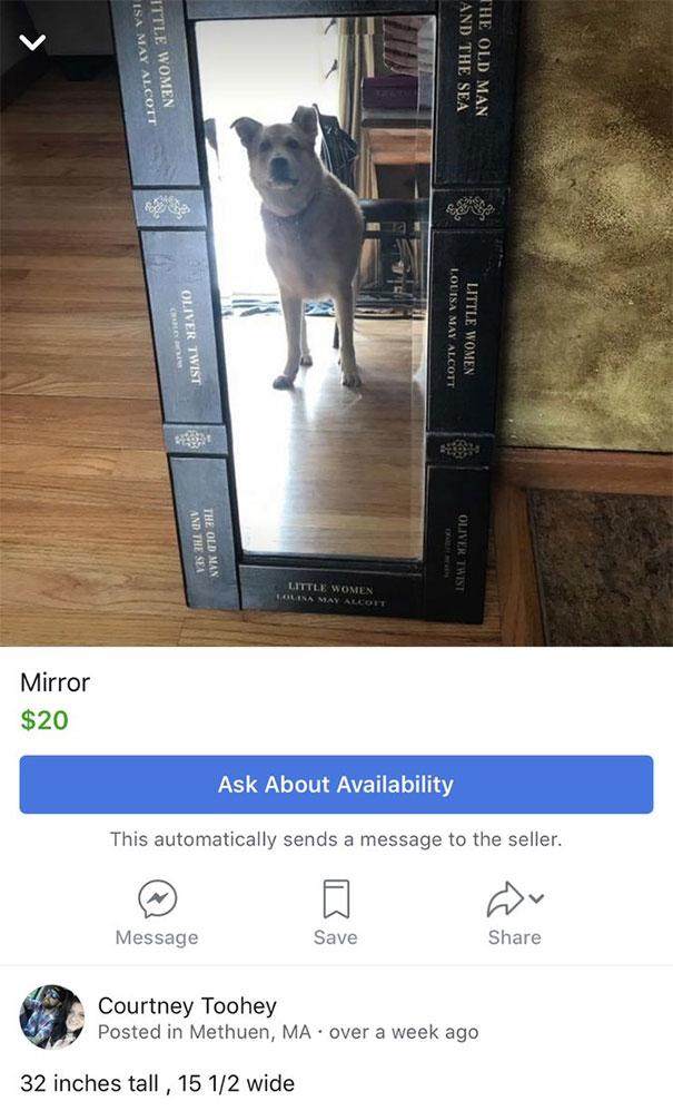 funny-people-sell-mirrors-reflections-9-5ab4b8fcd491a__605