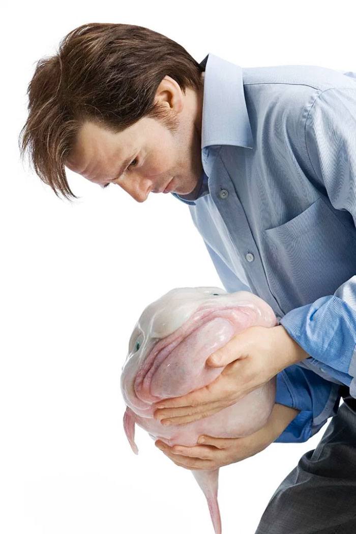 funny-weird-wtf-stock-photos-3-5a392672d4110__700