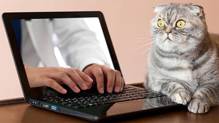 funny-weird-wtf-stock-photos-4-5a391635d4441__700