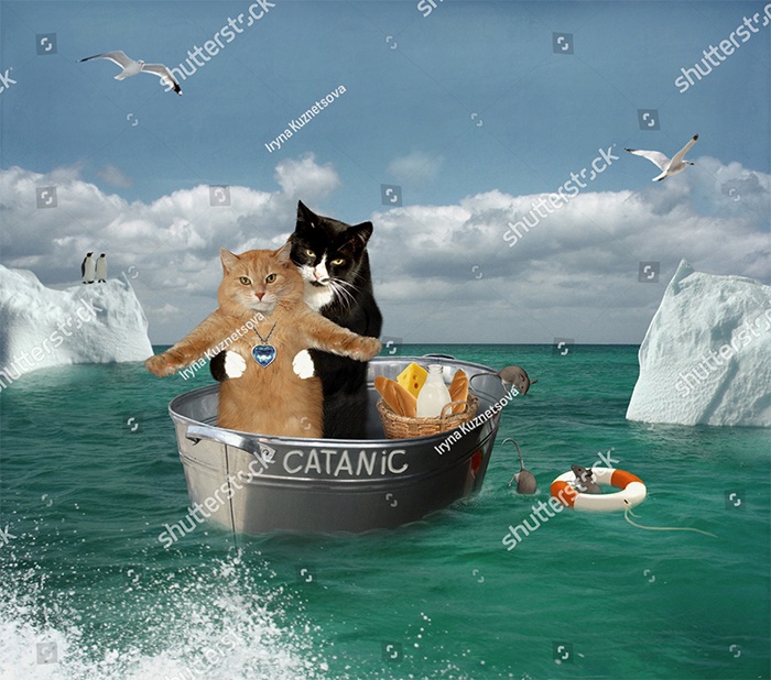 funny-weird-wtf-stock-photos-49-5a3babc28f9a1__700