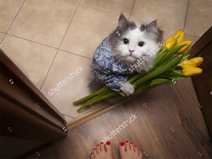funny-weird-wtf-stock-photos-54-5a3bb0a19c729__700