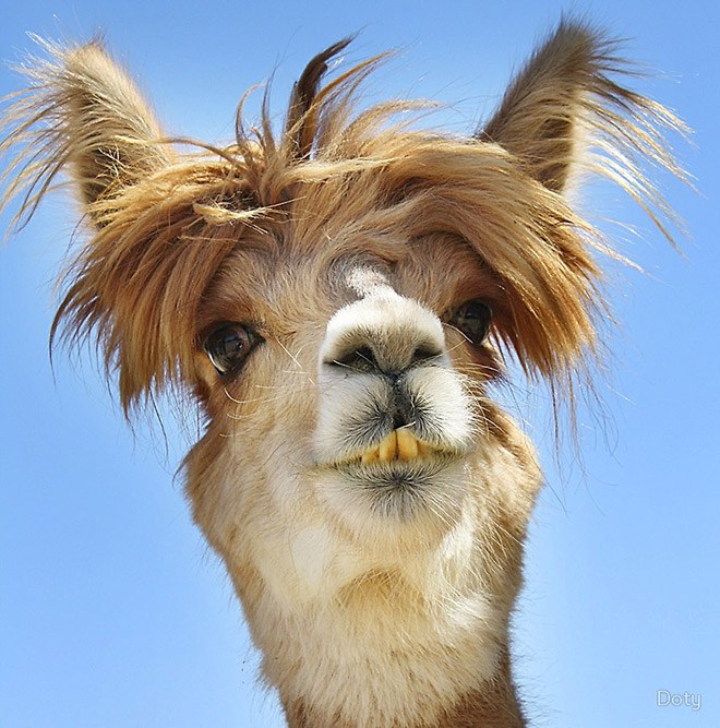 haircuts12
