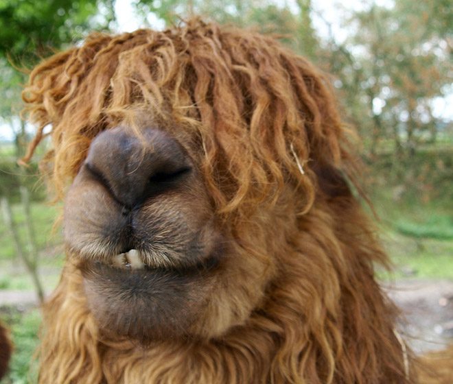 haircuts4